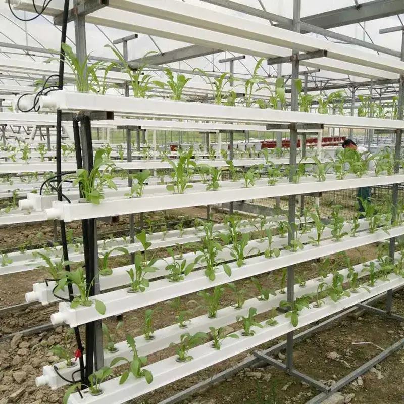 NFT Vertical Hydroponic Systems
