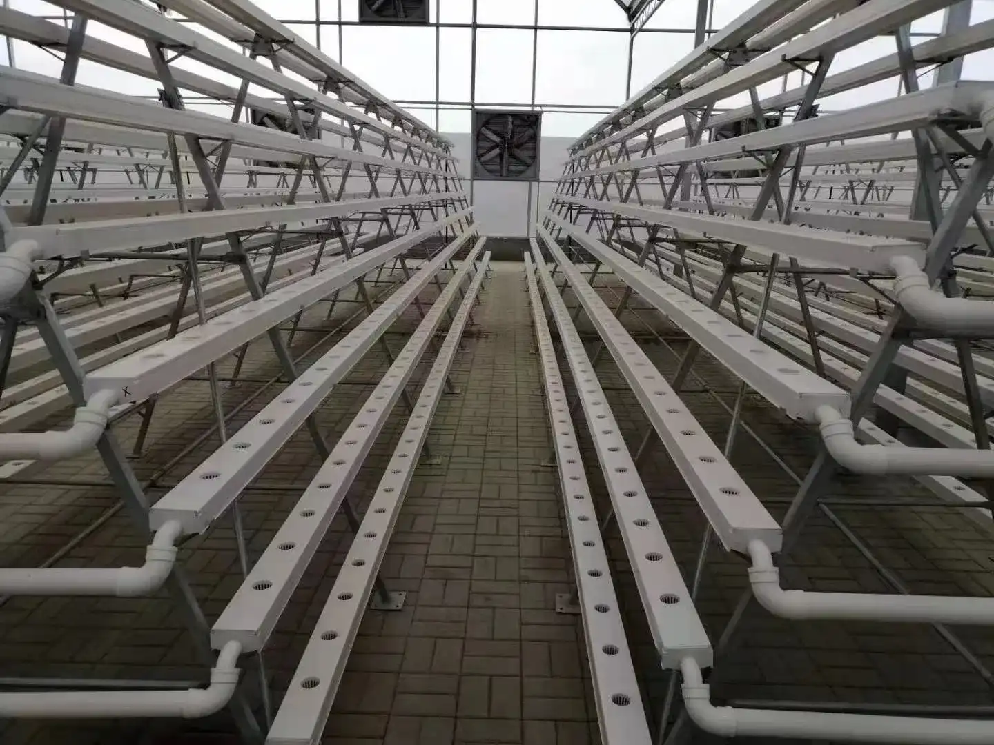 Needs Assessment & Planning